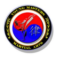 Young Masters Martial Arts and Fitness image 1